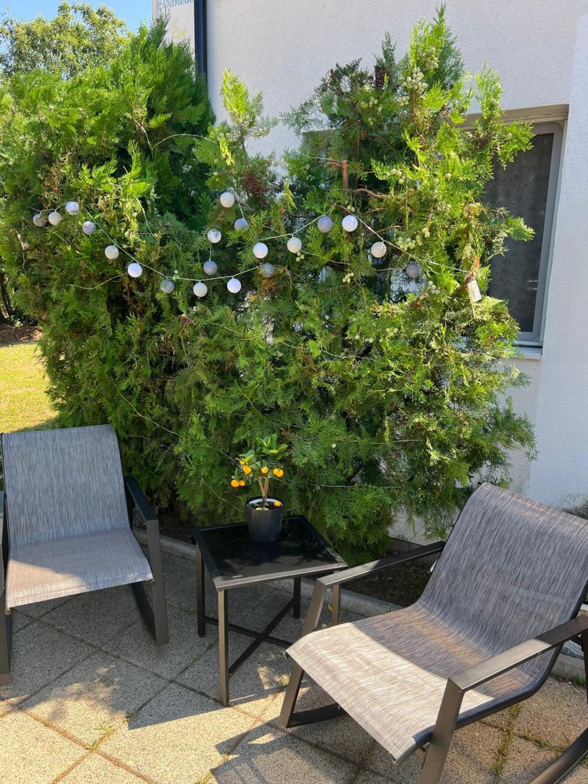 B&B Maria Bucharest Luaran gambar